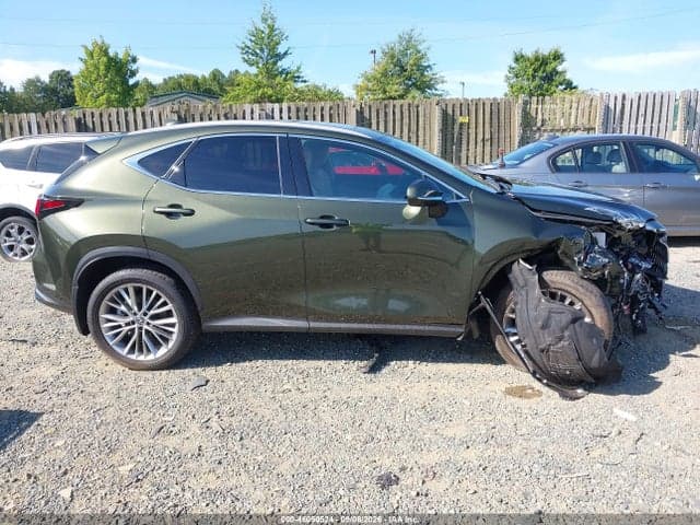 2024 LEXUS NX 350 LUXURY 14