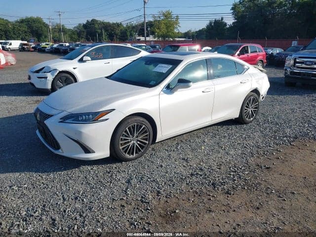 2024 LEXUS ES 350 2