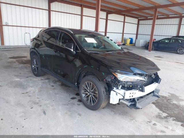 2025 LEXUS NX 250