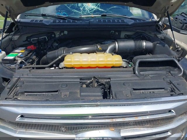 2017 FORD F-150 PLATINUM 10