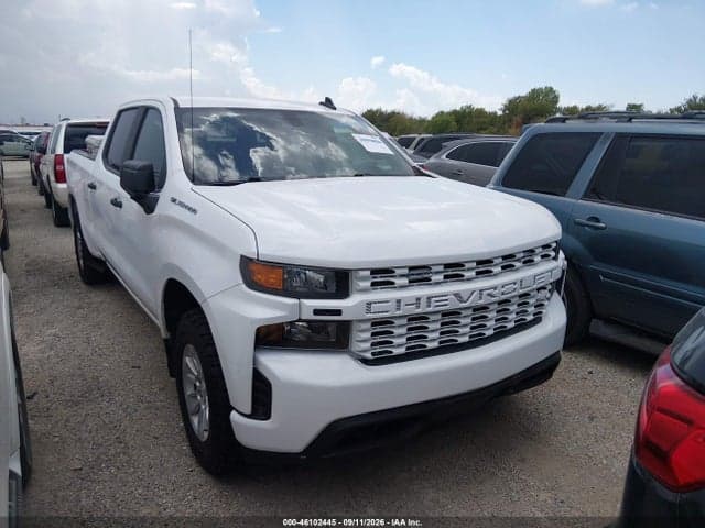 2019 CHEVROLET SILVERADO 1500 WORK TRUCK 1