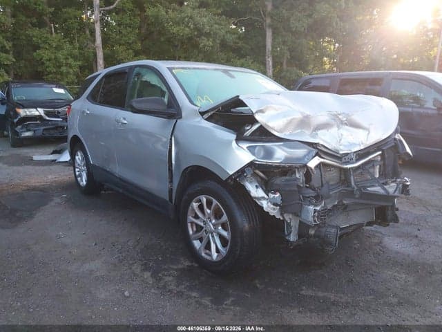 2019 CHEVROLET EQUINOX LS 1
