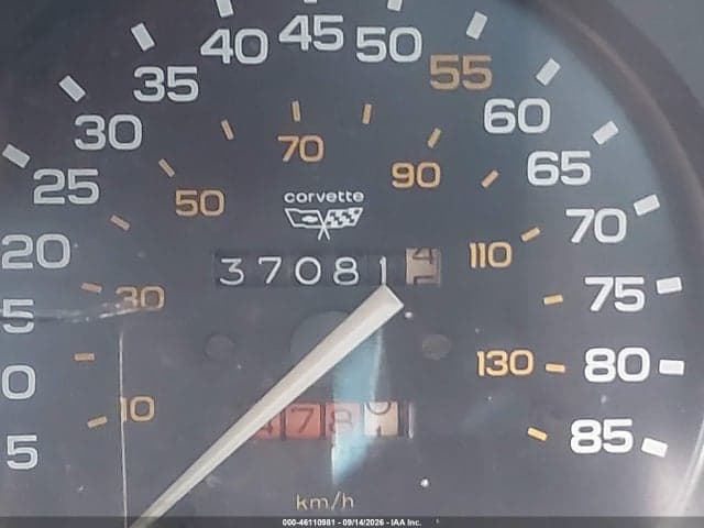 1982 CHEVROLET CORVETTE 16