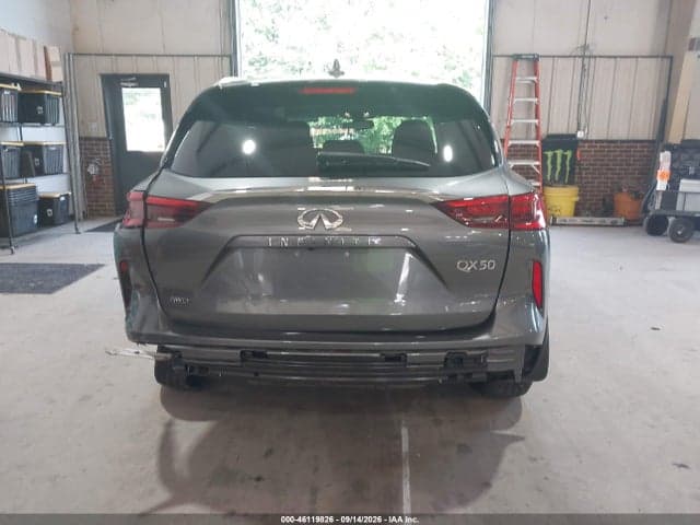 2019 INFINITI QX50 LUXE 17