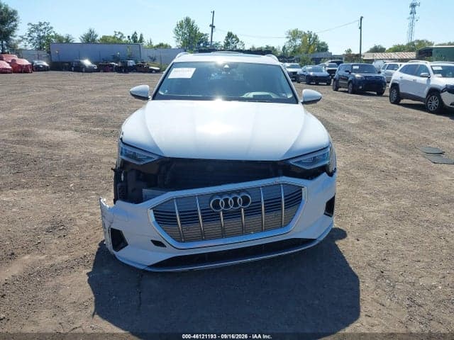 2019 AUDI E-TRON PREMIUM PLUS 12