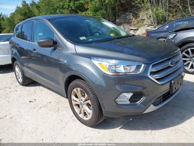 2019 FORD ESCAPE SE 1