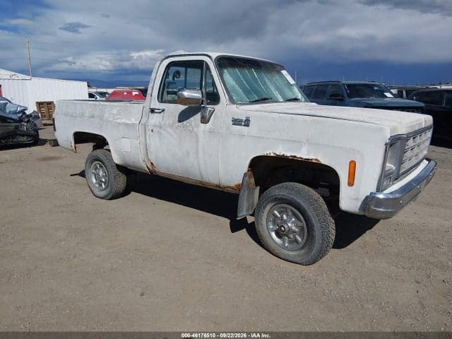 1980 CHEVROLET TRUCK