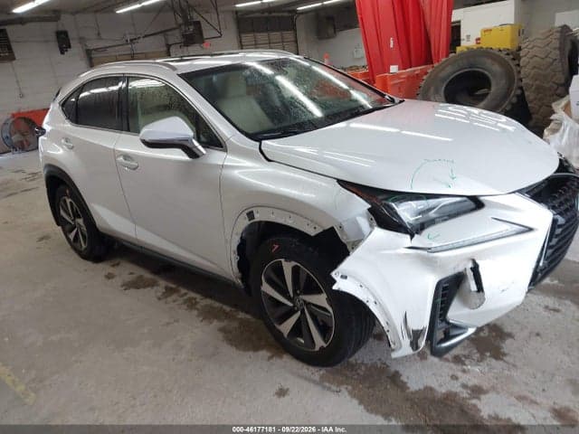 2019 LEXUS NX 300 1