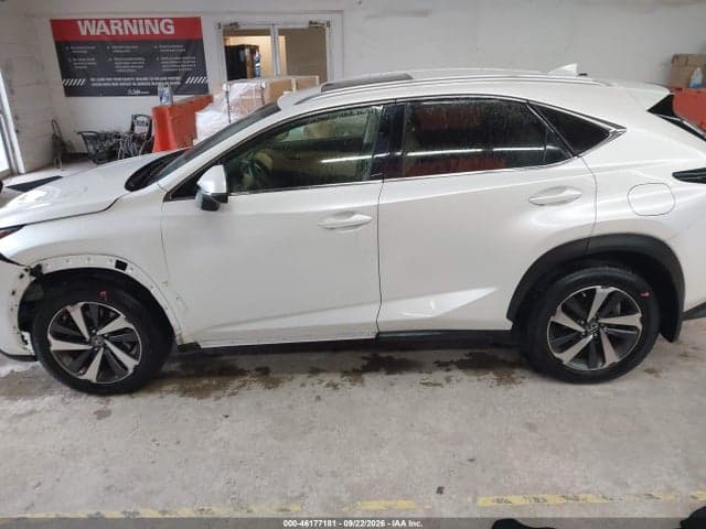 2019 LEXUS NX 300 14