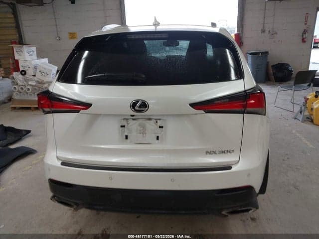 2019 LEXUS NX 300 16