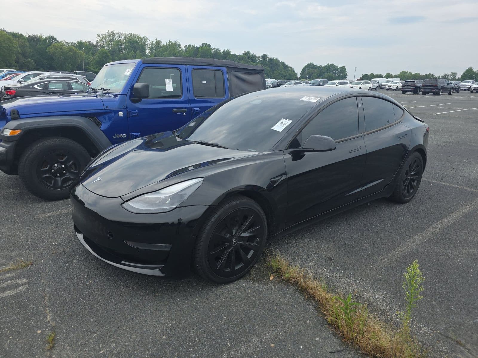 2022 TESLA MODEL 3 STANDARD Range