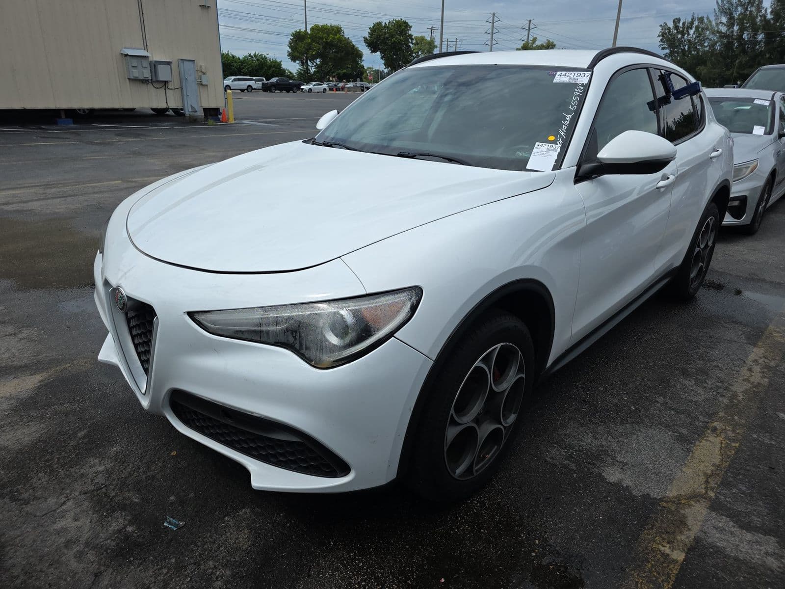 2019 ALFA ROMEO STELVIO Sport