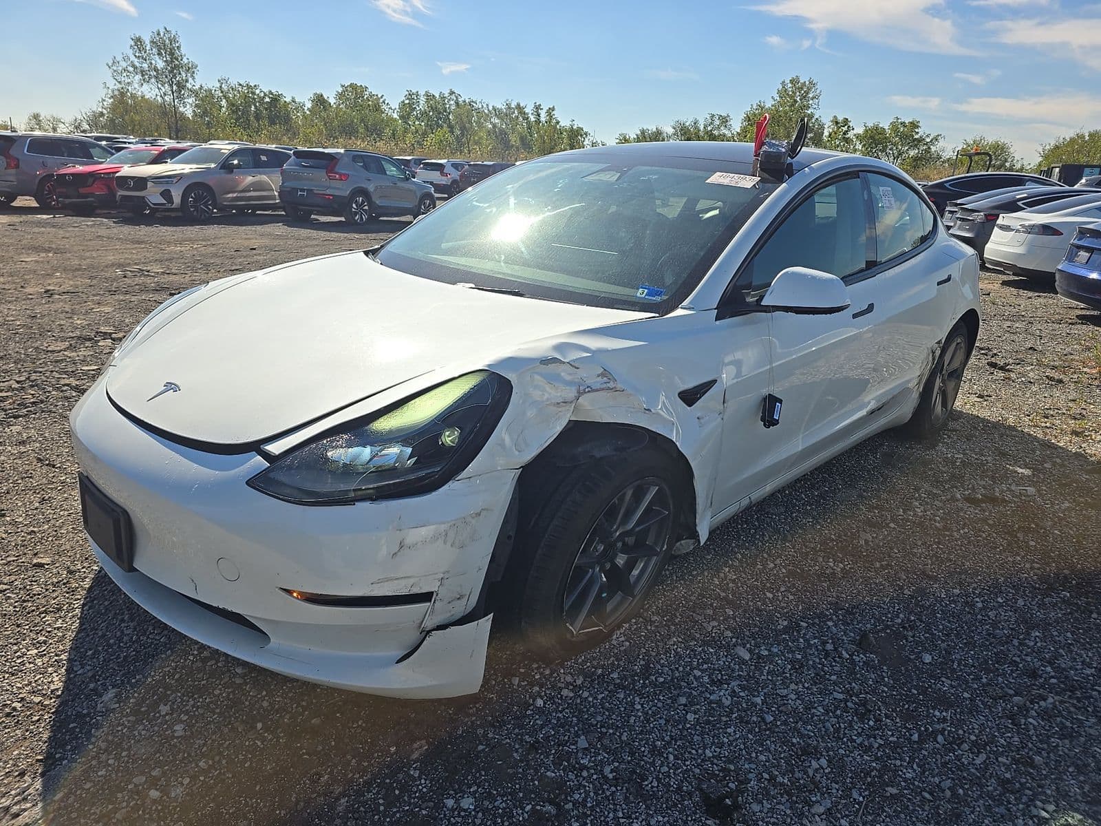 2023 TESLA MODEL 3 STANDARD Range
