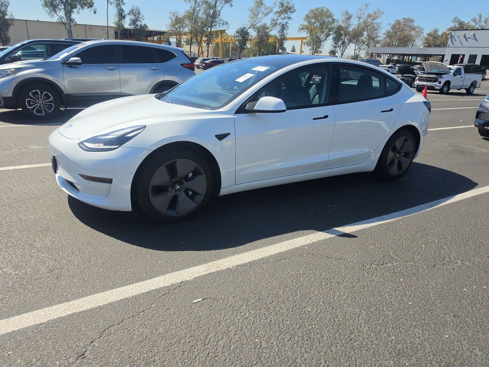 2021 TESLA MODEL 3 STANDARD RANGE Plus