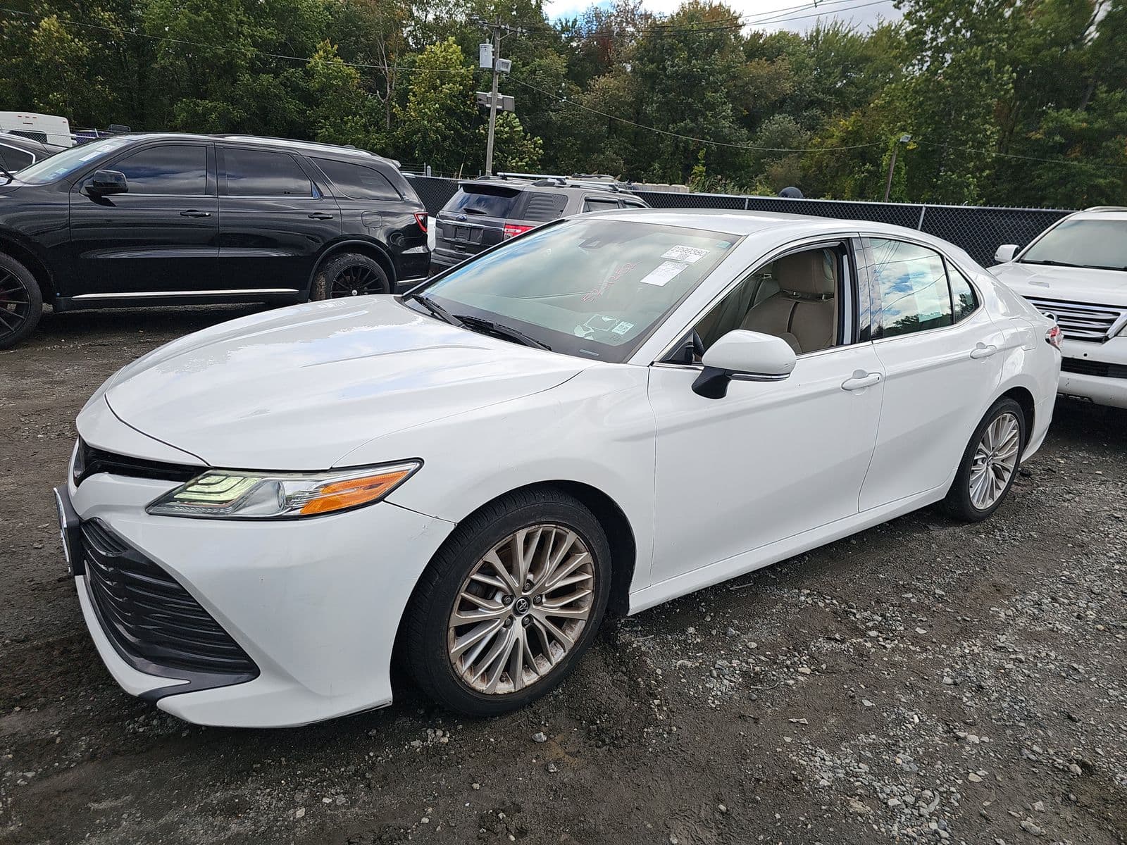 2019 TOYOTA CAMRY XLE