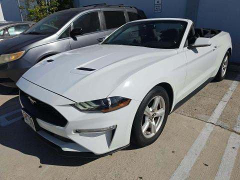 2019 FORD MUSTANG EcoBoost 1