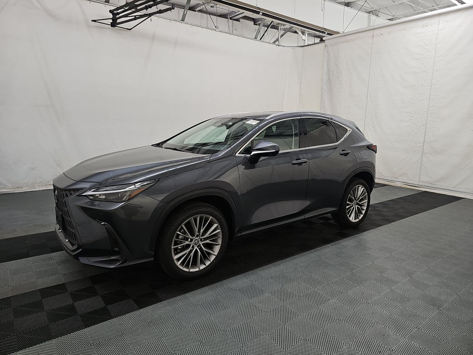 2025 LEXUS NX NX 350 Premium