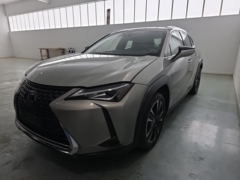 2019 LEXUS UX UX 250h