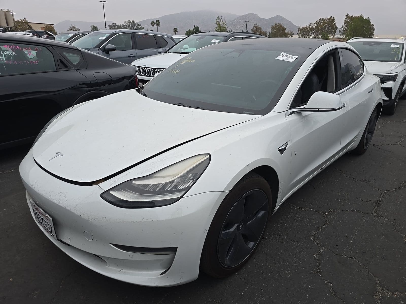 2019 TESLA MODEL 3 LONG Range