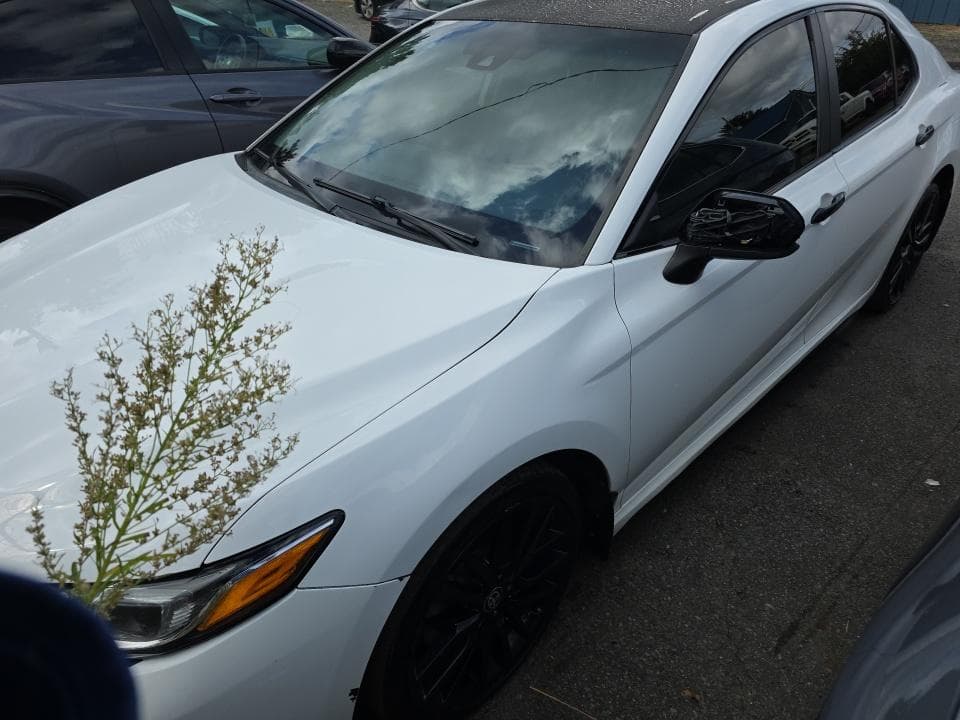 2020 TOYOTA CAMRY SE Nightshade