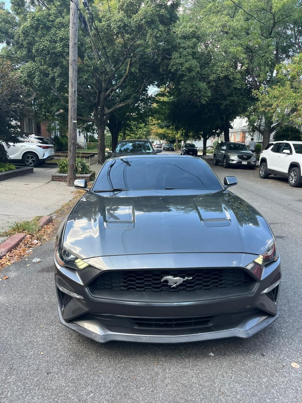 2019 FORD MUSTANG ECOBOOST Premium 1