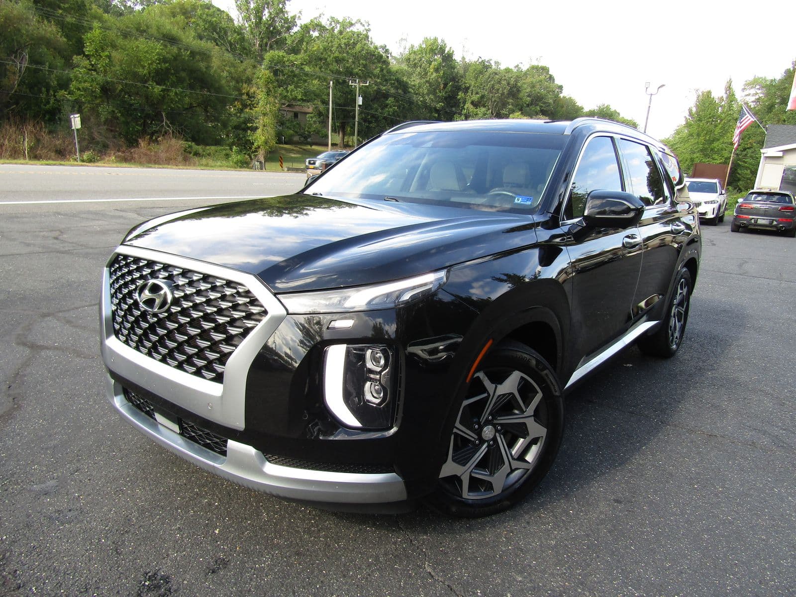2021 HYUNDAI PALISADE Calligraphy