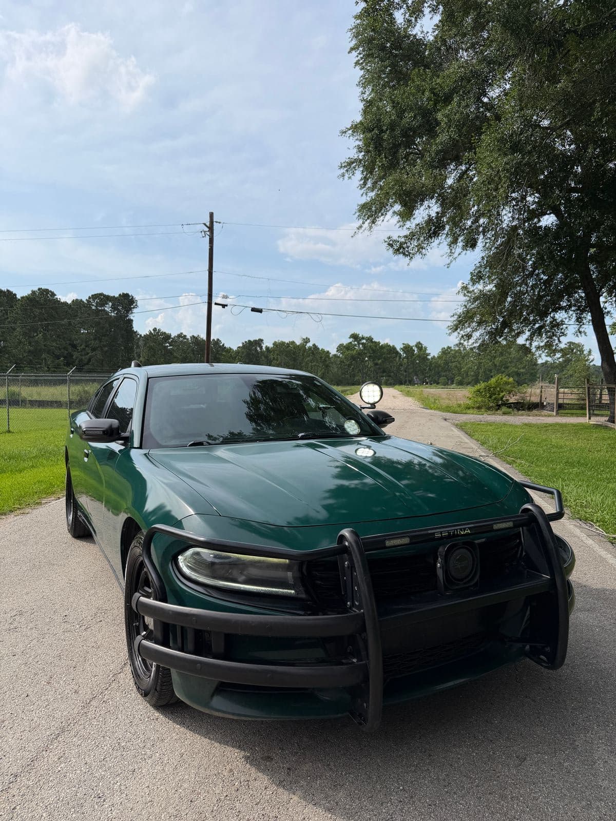 2019 DODGE CHARGER Police 1