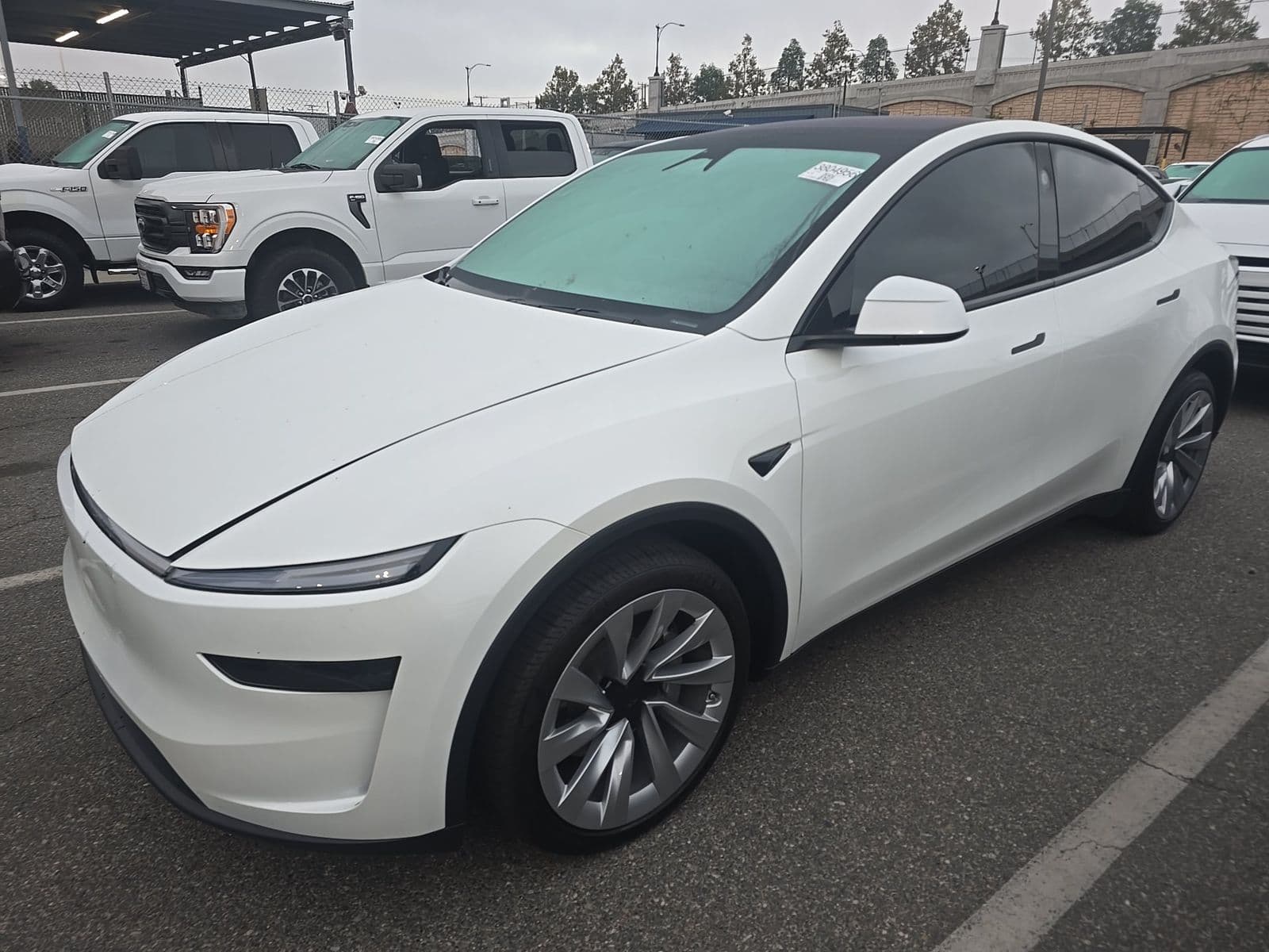 2026 TESLA MODEL Y LONG Range