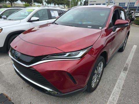 2024 TOYOTA VENZA XLE