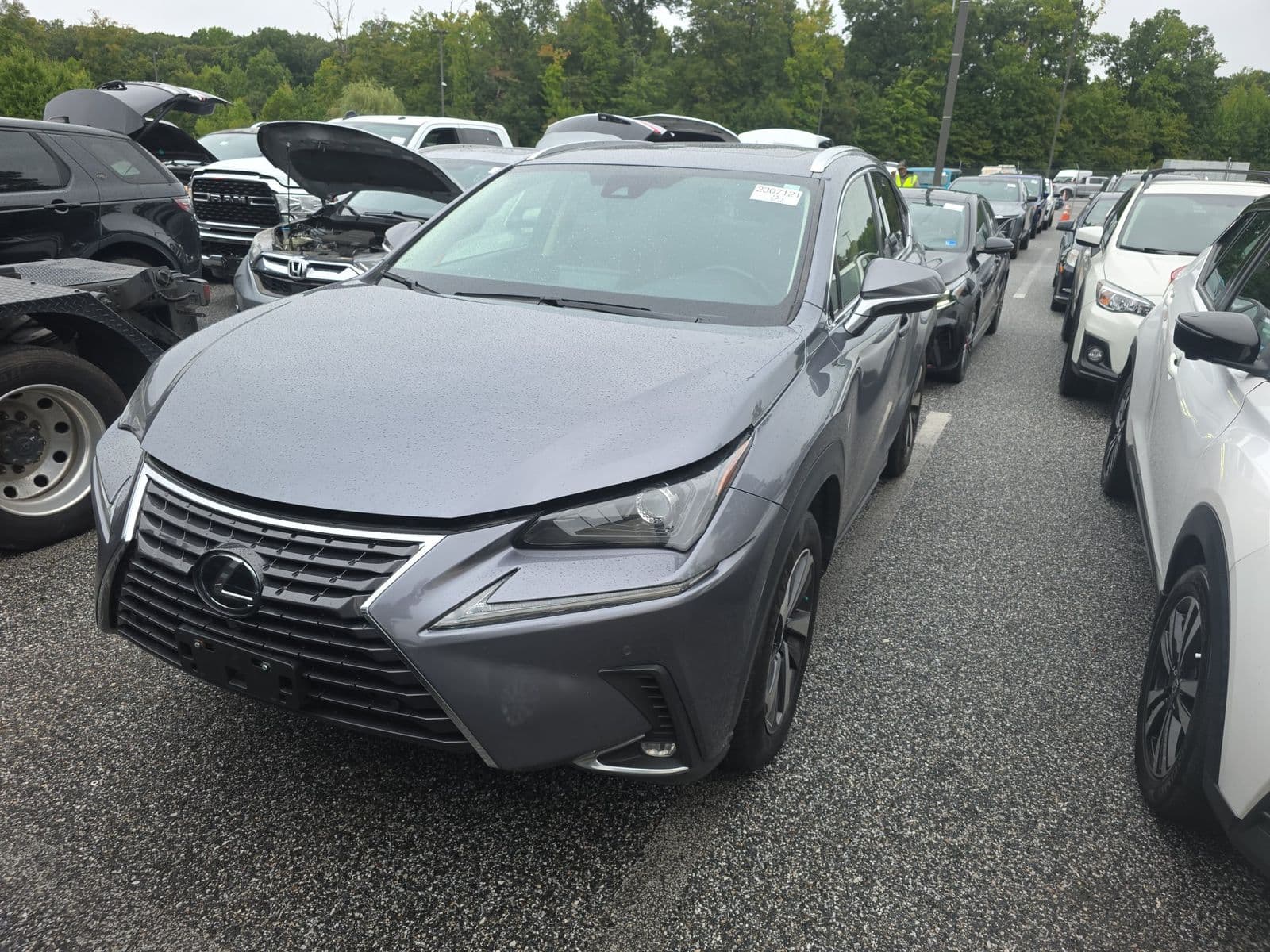 2021 LEXUS NX NX 300