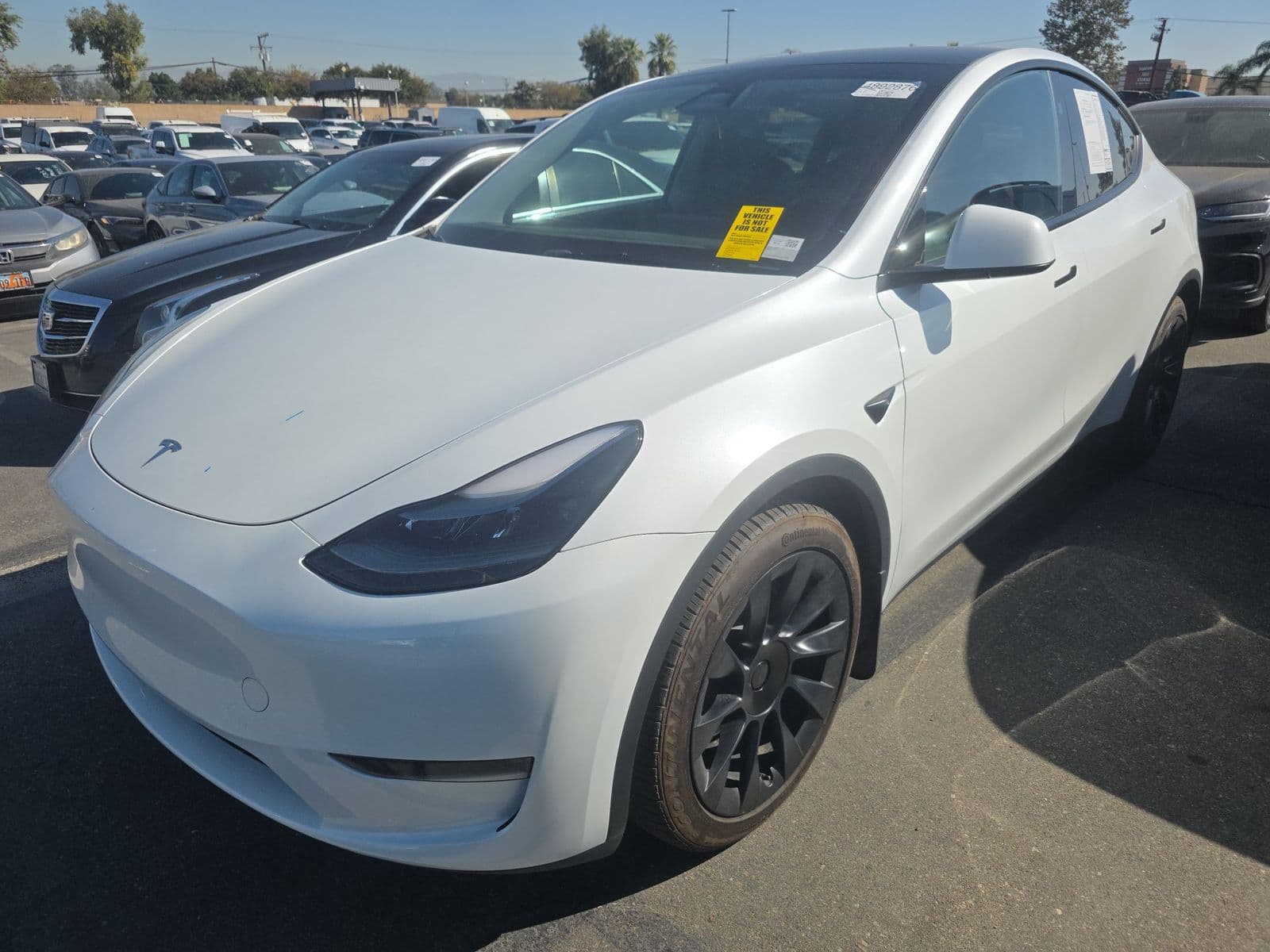 2024 TESLA MODEL Y LONG Range