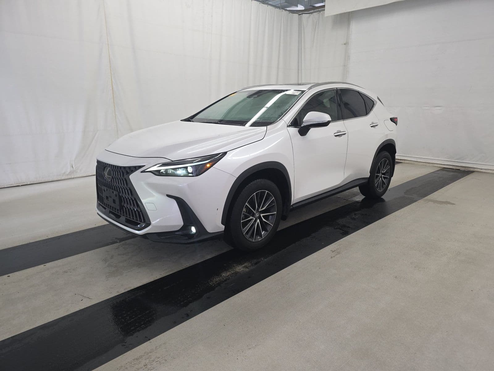 2024 LEXUS NX NX 350