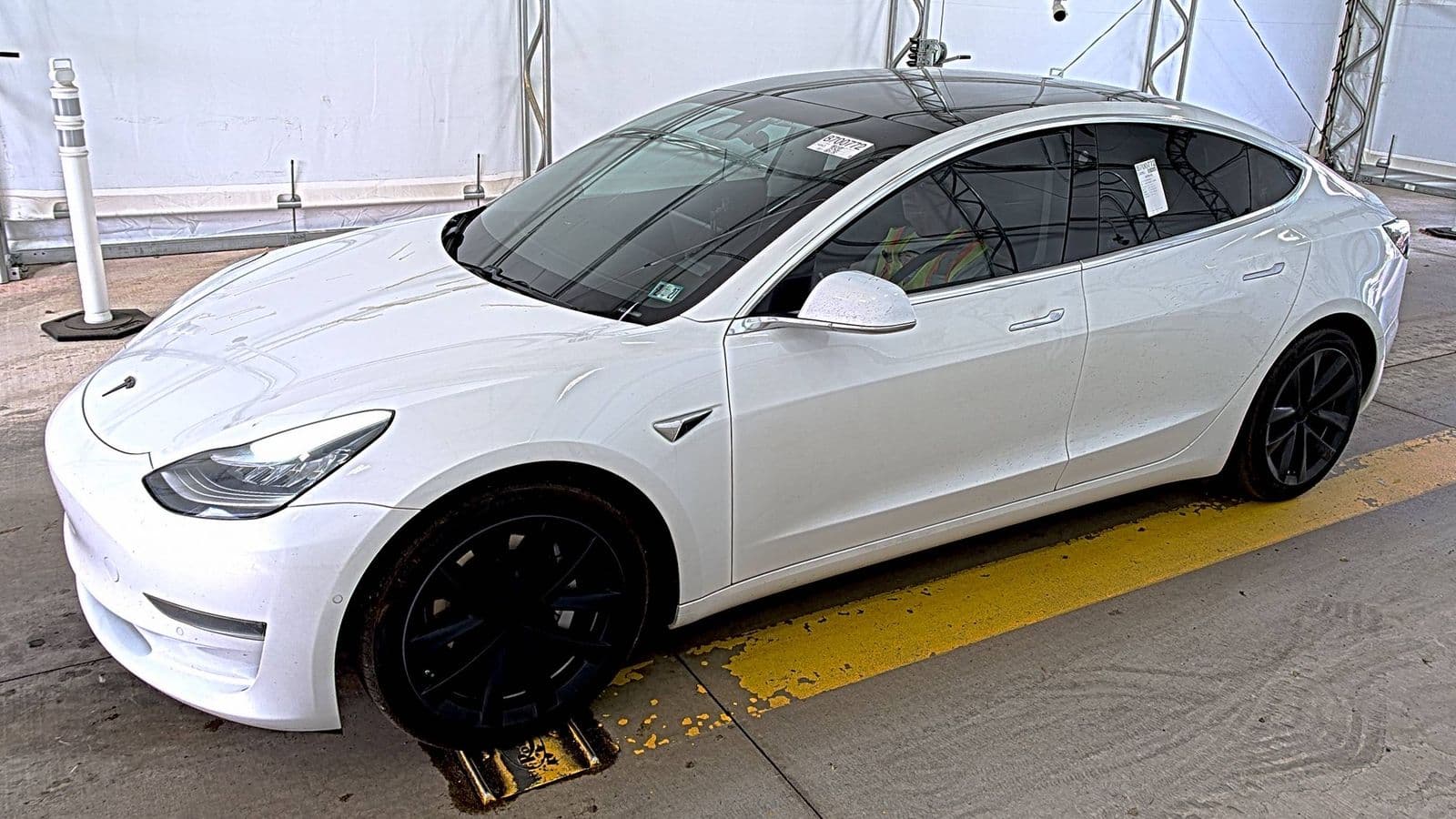 2020 TESLA MODEL 3 STANDARD RANGE Plus