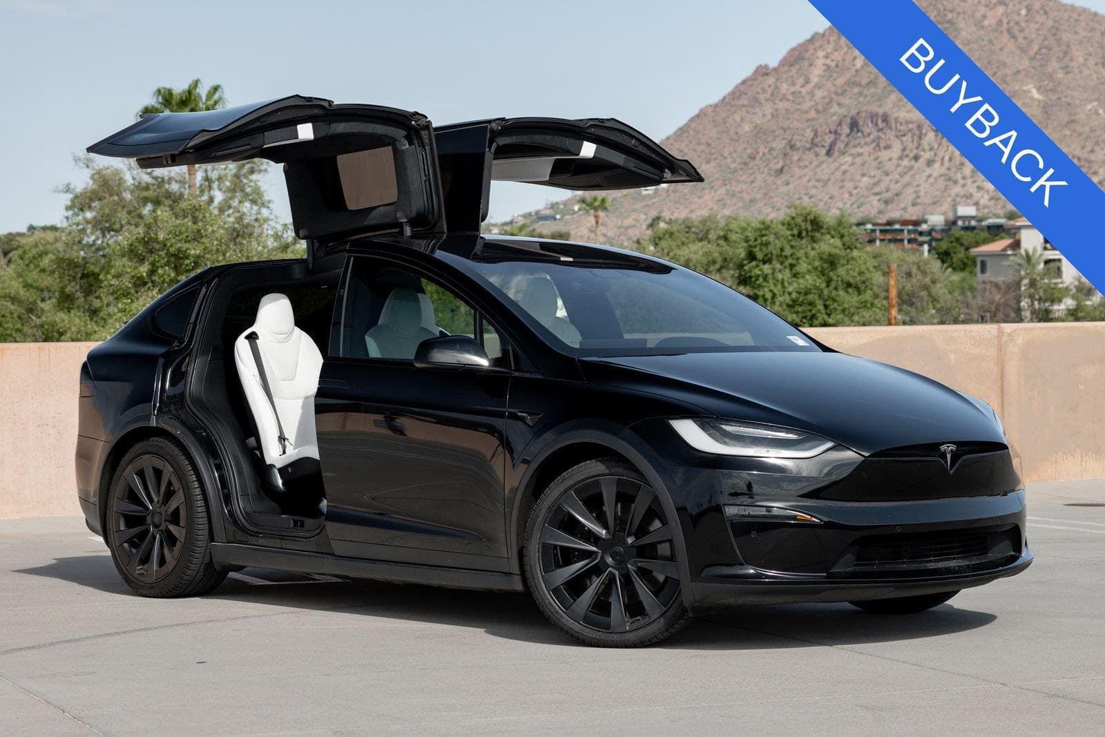 2023 TESLA MODEL X Plaid