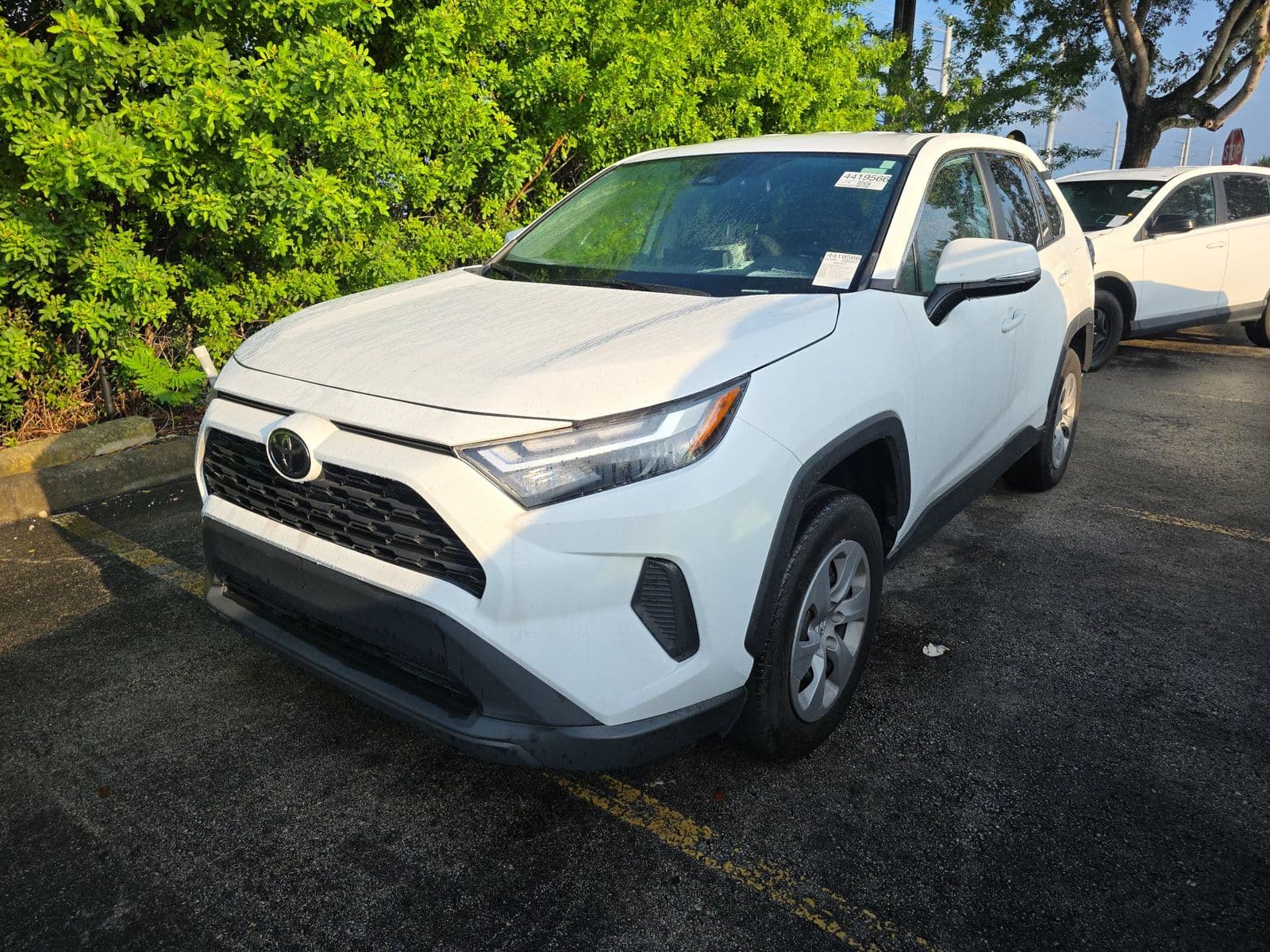 2024 TOYOTA RAV4 LE