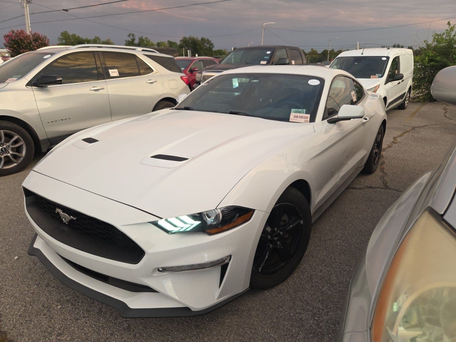 2019 FORD MUSTANG EcoBoost