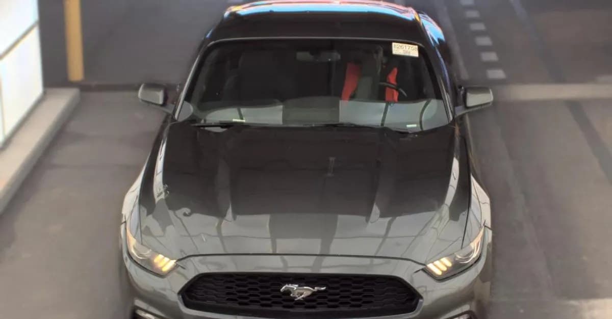 2017 FORD MUSTANG V6 3