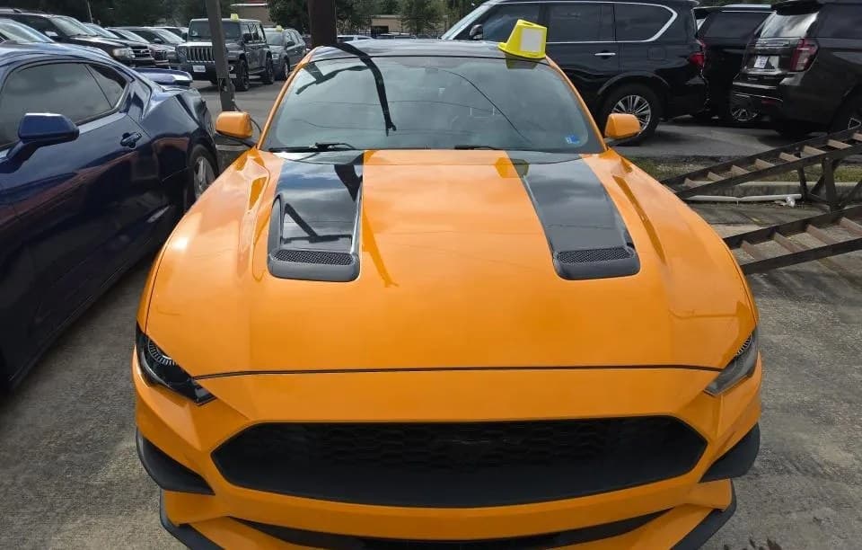 2019 FORD MUSTANG ECOBOOST Premium 3