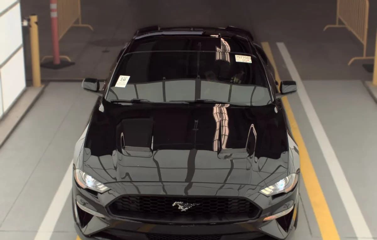 2019 FORD MUSTANG EcoBoost 3