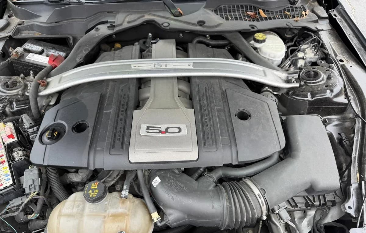 2019 FORD MUSTANG GT Premium 3