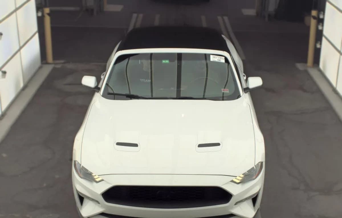 2019 FORD MUSTANG EcoBoost 3