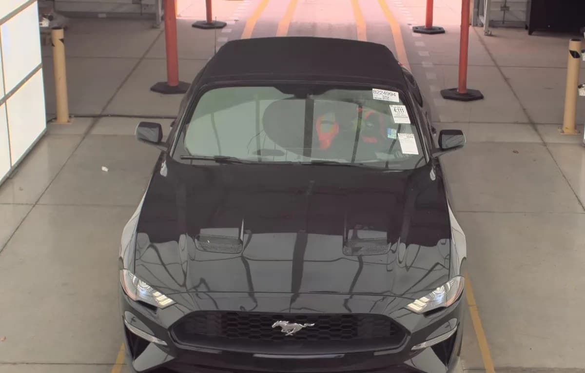 2019 FORD MUSTANG ECOBOOST Premium 3