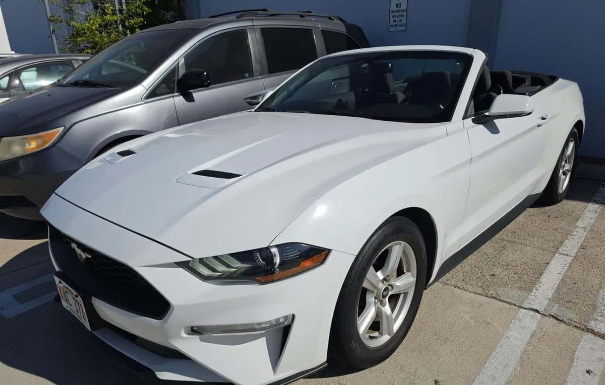 2019 FORD MUSTANG EcoBoost 2