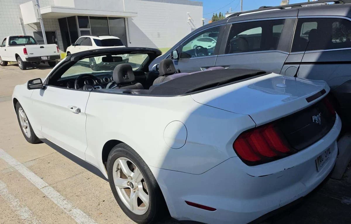 2019 FORD MUSTANG EcoBoost 3