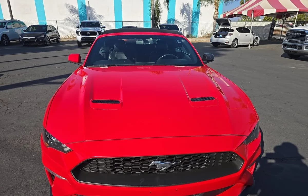 2019 FORD MUSTANG ECOBOOST Premium 2