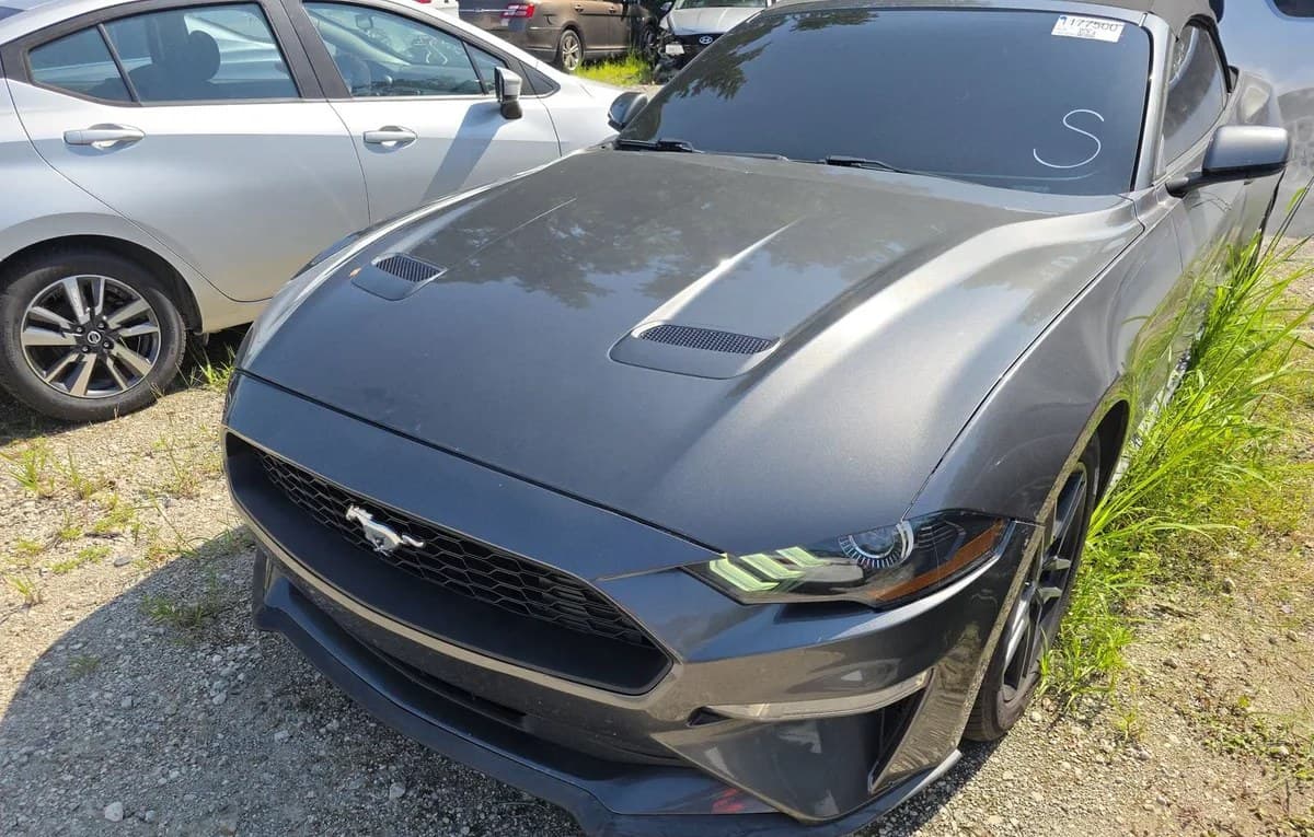2019 FORD MUSTANG ECOBOOST Premium 2