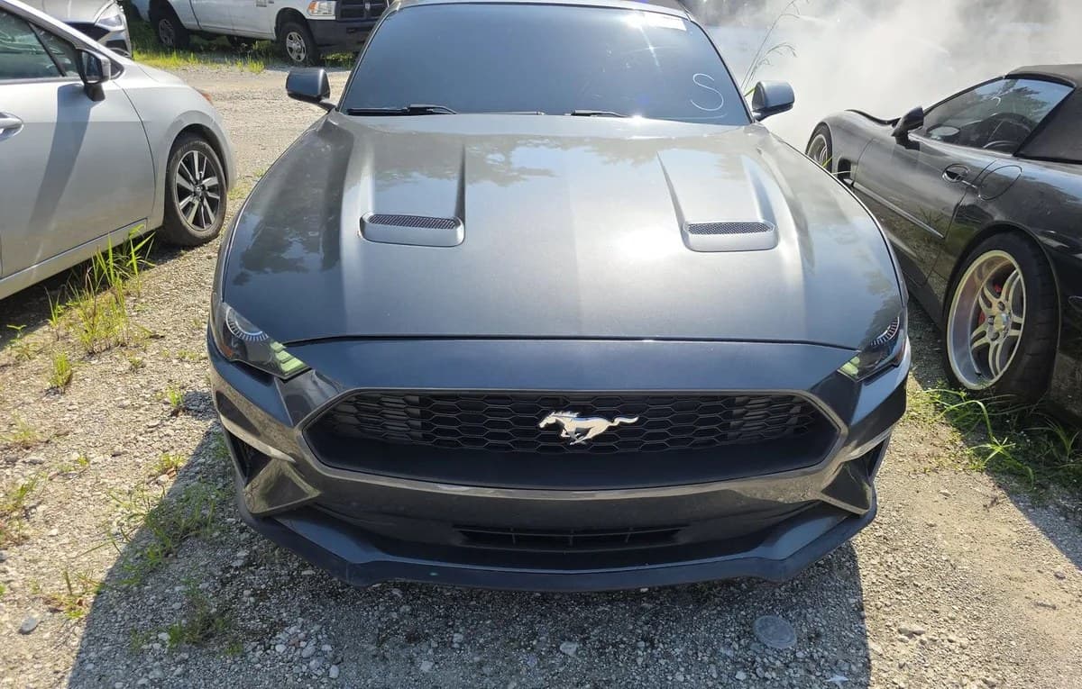 2019 FORD MUSTANG ECOBOOST Premium 3
