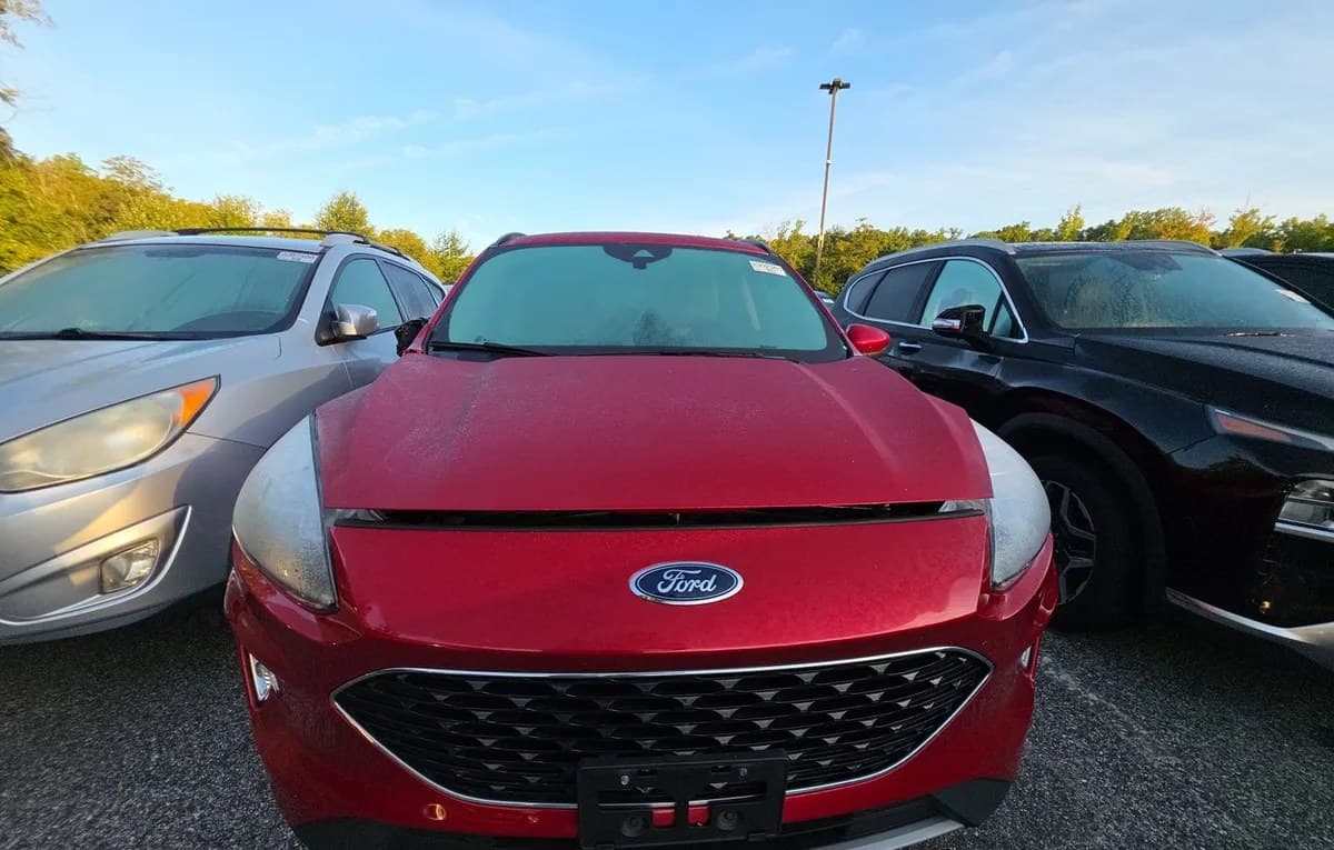 2020 FORD ESCAPE HYBRID Titanium 3