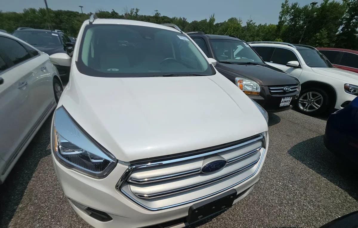 2019 FORD ESCAPE Titanium 2