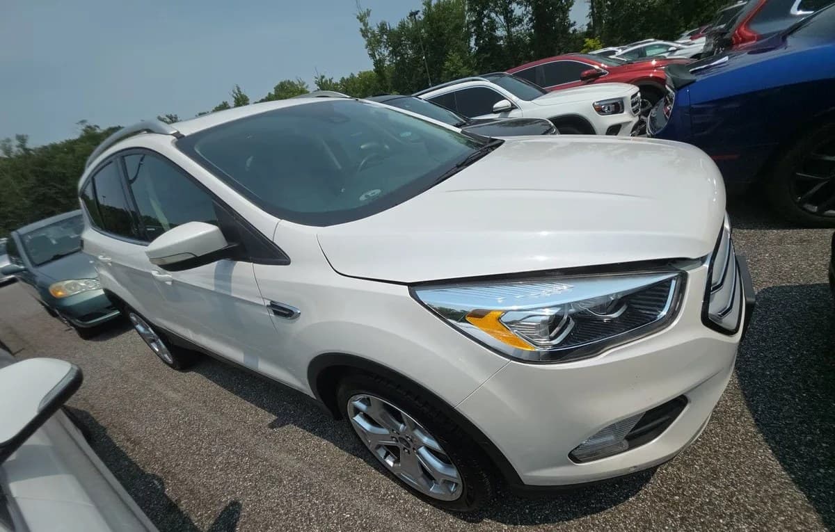 2019 FORD ESCAPE Titanium 3